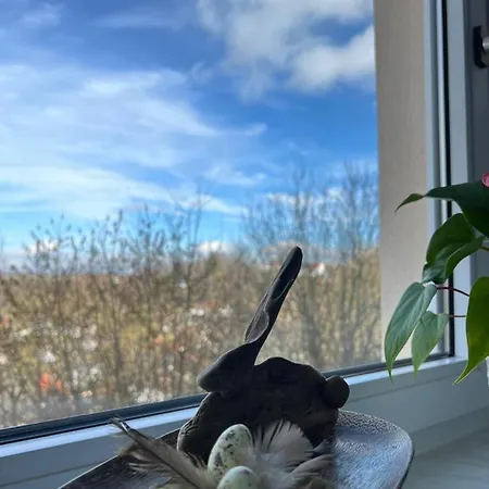 Fi-eck Appartement *